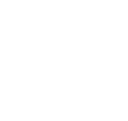 МАРТИНЕКС